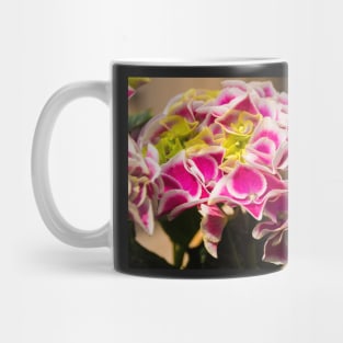 Pink Hydrangea Flowers Mug